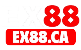 cooex88.com